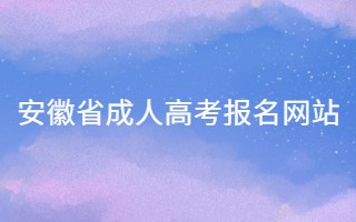 安徽省成人高考報(bào)名網(wǎng)站