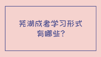 蕪湖成考學習形式有哪些