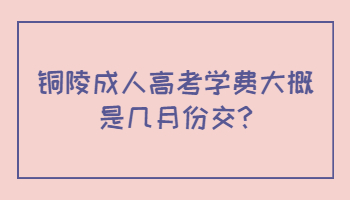 銅陵成人高考學(xué)費大概是幾月份交