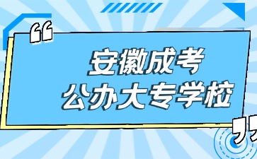 安徽成考公辦大專學校