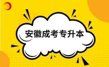 2025年安徽成人高考專升本一年有幾次考試機(jī)會(huì)